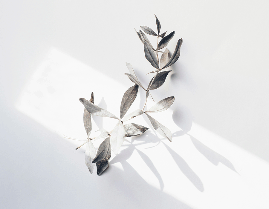 Boutique brand identity design studio Spadena