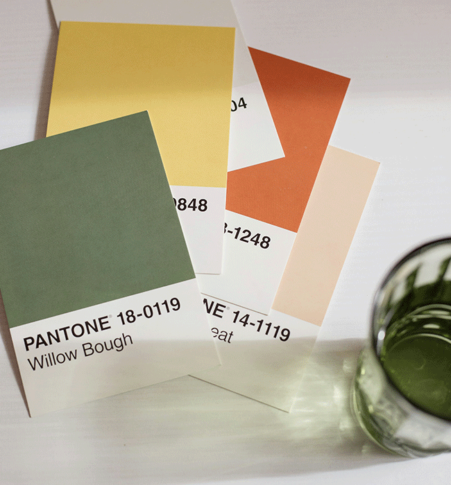 Brand identity design color palette and visual system